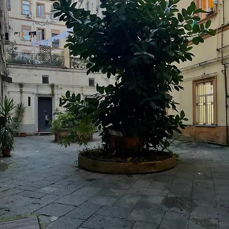 Momarooms 4* 나폴리